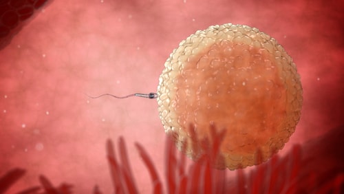 Uso de anticonceptivos orales y disminucion de fertilidad