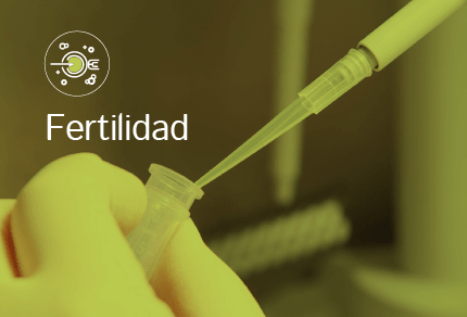 Patologia Cervical Fertilidad Embarazo Alto Riesgo 02 Min